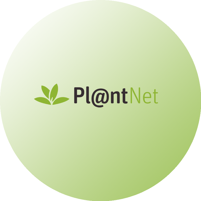 app-plantnet-rund