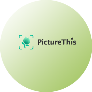 picturithis logo rund